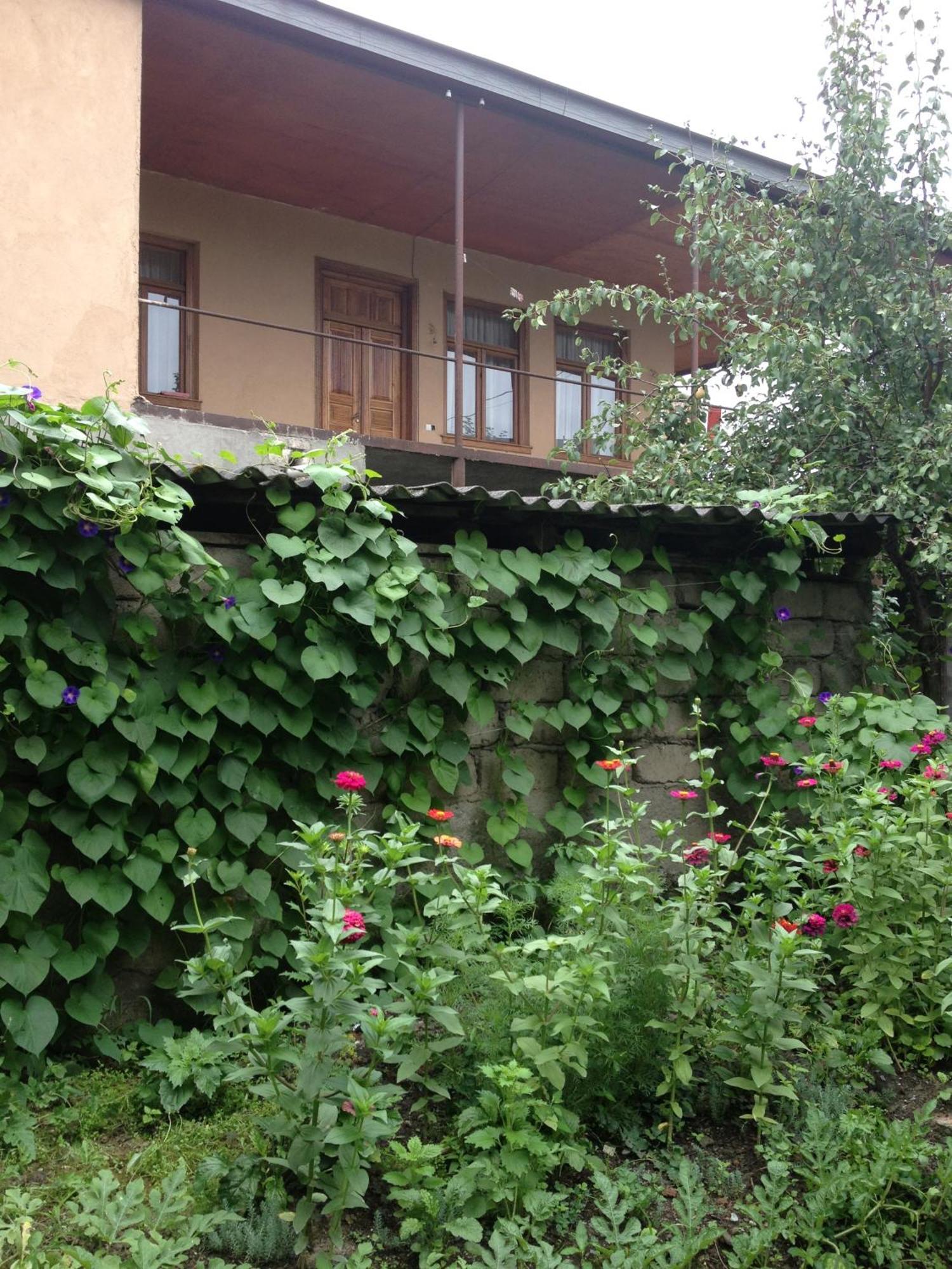 Guesthouse KISTAURI Telavi Extérieur photo